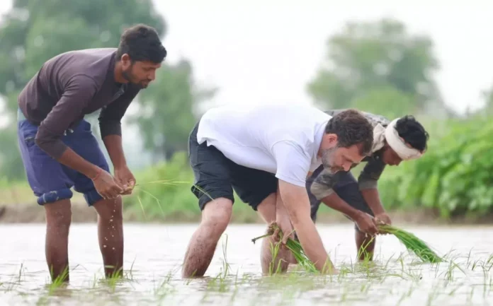 Rahul Gandhi Praises Farmers as India's Strength